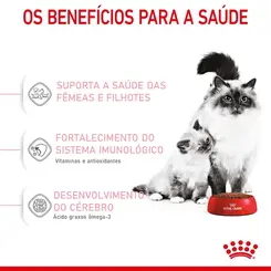 ROYAL CANIN CAT MOTHER E BABY CAT 4KG