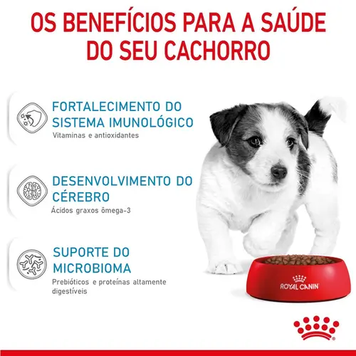ROYAL CANIN MINI JUNIOR