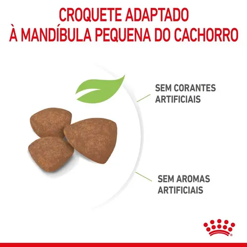 ROYAL CANIN MINI JUNIOR
