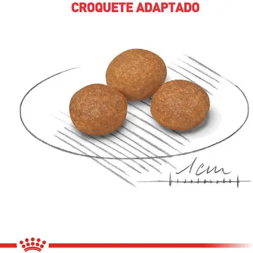ROYAL CANIN X-SMALL 8+