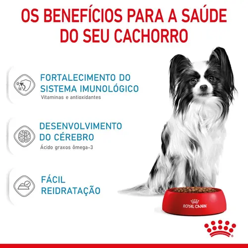 ROYAL CANIN X-SMALL JUNIOR
