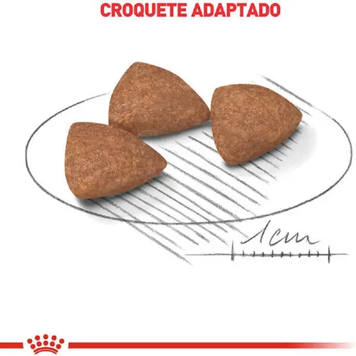 ROYAL CANIN MINI INDOOR ADULT