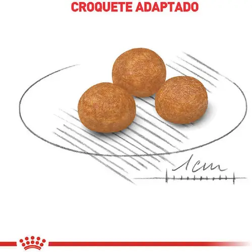 ROYAL CANIN X-SMALL ADULT