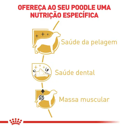 ROYAL CANIN POODLE ADULT