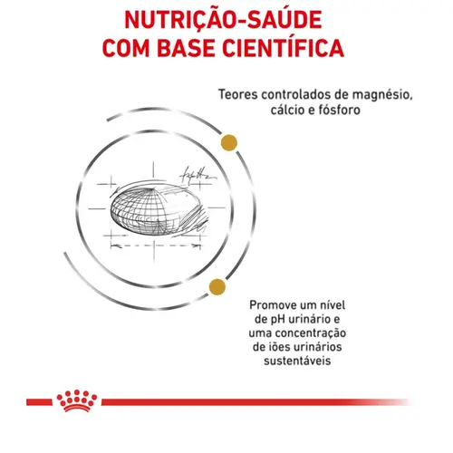ROYAL CANIN URINARY S/O FELINE