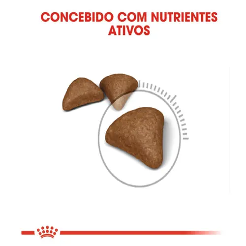 ROYAL CANIN CAT HAIRBALL CARE