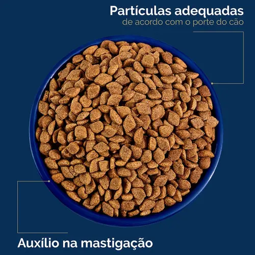 ORIGENS MG FILHOTE