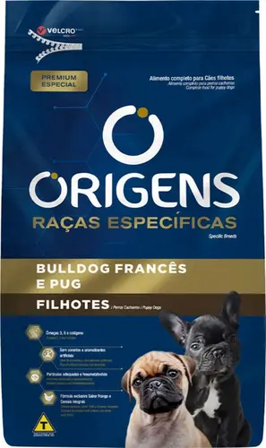 ORIGENS BULDOG F/PUG FILHOTE