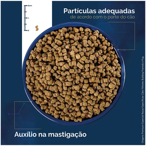 ORIGENS BULDOG F/PUG FILHOTE