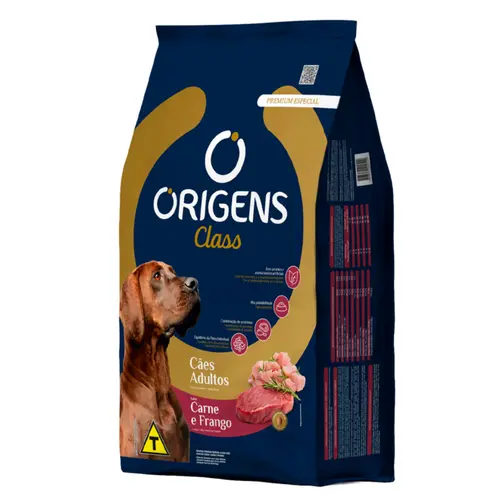 ORIGENS CLASS ADULTO