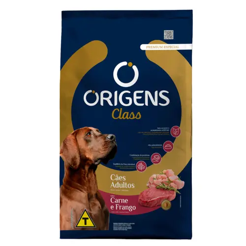 ORIGENS CLASS ADULTO