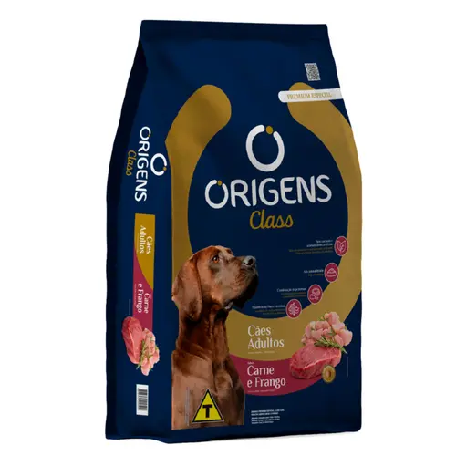ORIGENS CLASS ADULTO
