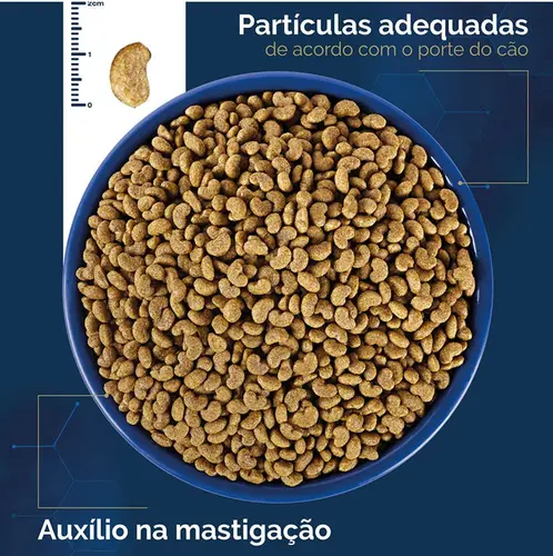 ORIGENS YORK/MALT/SPITZ ADULTO