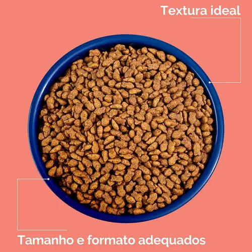 ORIGENS GATO CASTRADO SALMÃO