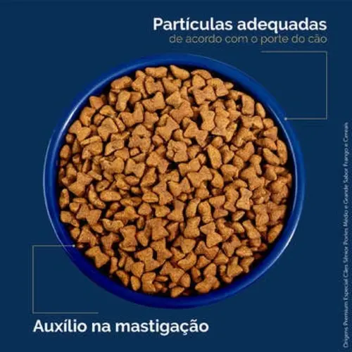 ORIGENS MG SENIOR