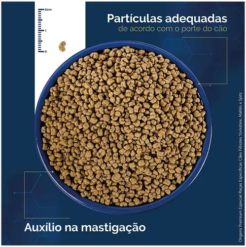 ORIGENS YORK/MALT/SPITZ FILHOTE