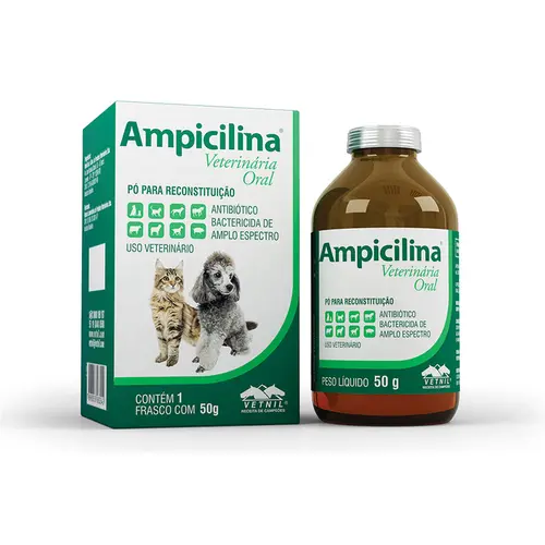 AMPICILINA ORAL