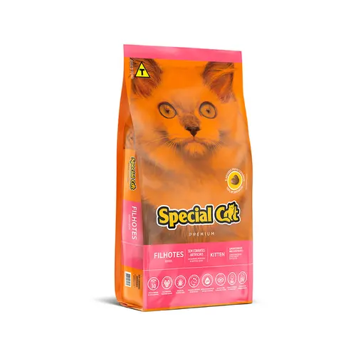 SPECIAL CAT FILHOTES