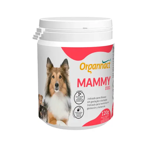 MAMMY DOG