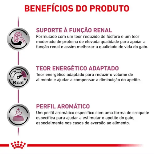 ROYAL CANIN RENAL FELINE SPECIAL 400G