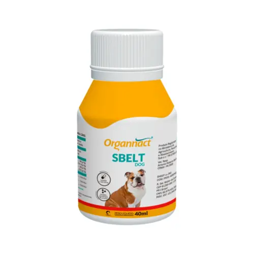 SBELT DOG