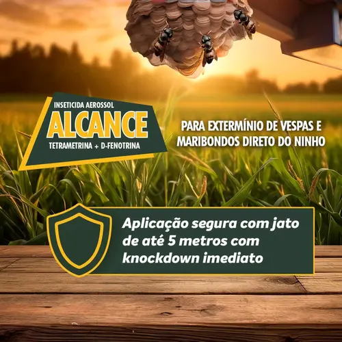 ALCANCE AEROSOL 200ML
